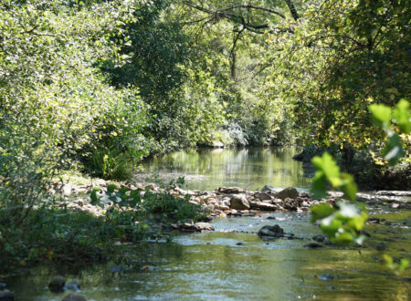 De natuur als centraal aandachtspunt